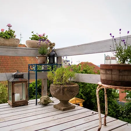 Rosenhøj Bed&Breakfast-3